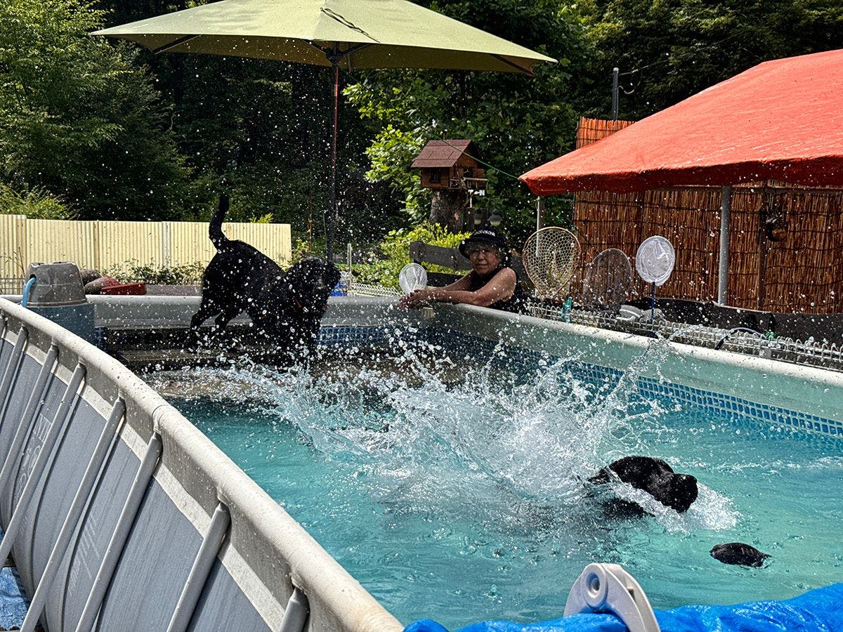 สระว่ายน้ำ