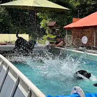 สระว่ายน้ำ