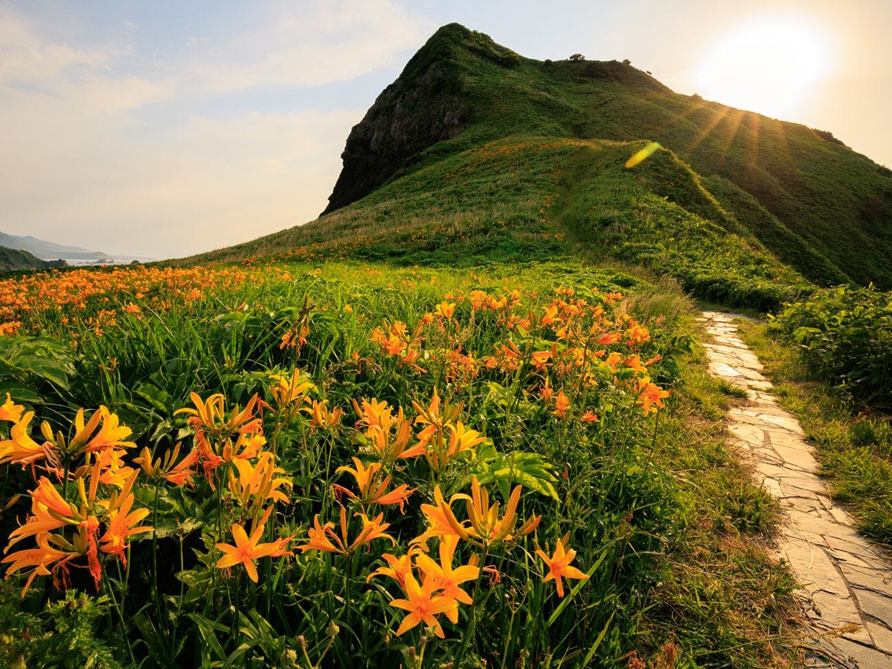 Bunga Kuning Kanzo di Ōnogame