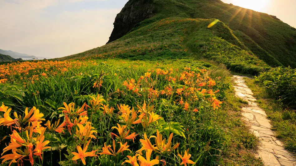 SADO Futatsugame View Hotel