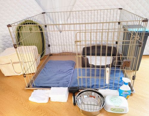 わんわんテント10番室内イメージ