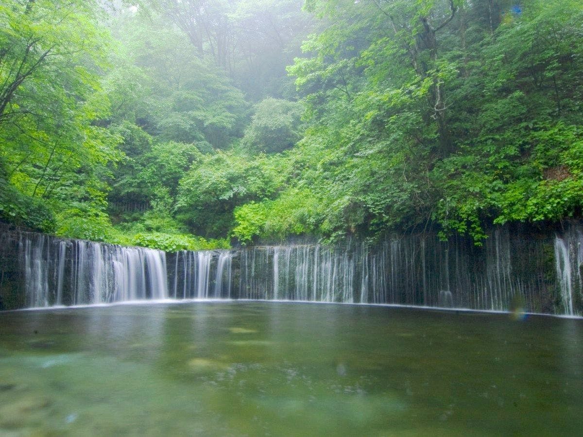 【주변】시라이토 폭포