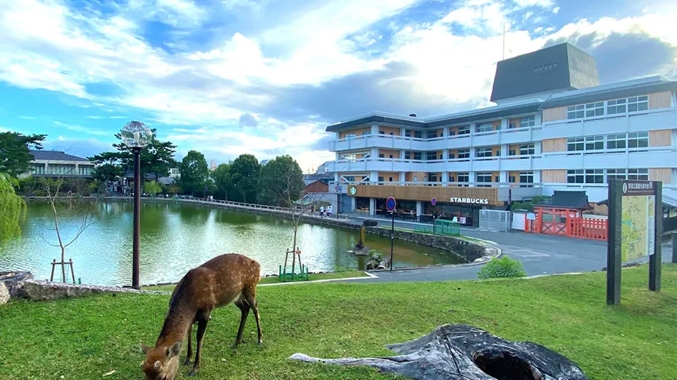 Hotel Tenpyo Naramachi