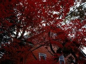 ペンション　あすか