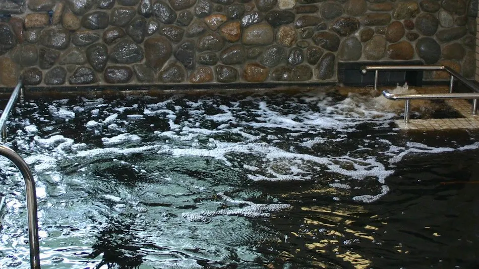Mikawa Onsen Motoyu Honda
