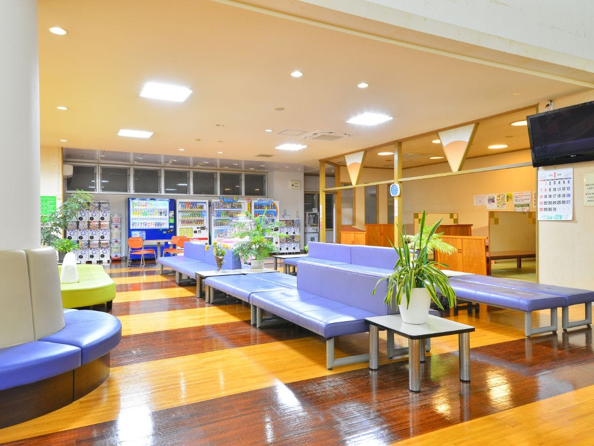 Higashimae Onsen Shinwa no Yu Hotel Akitaya