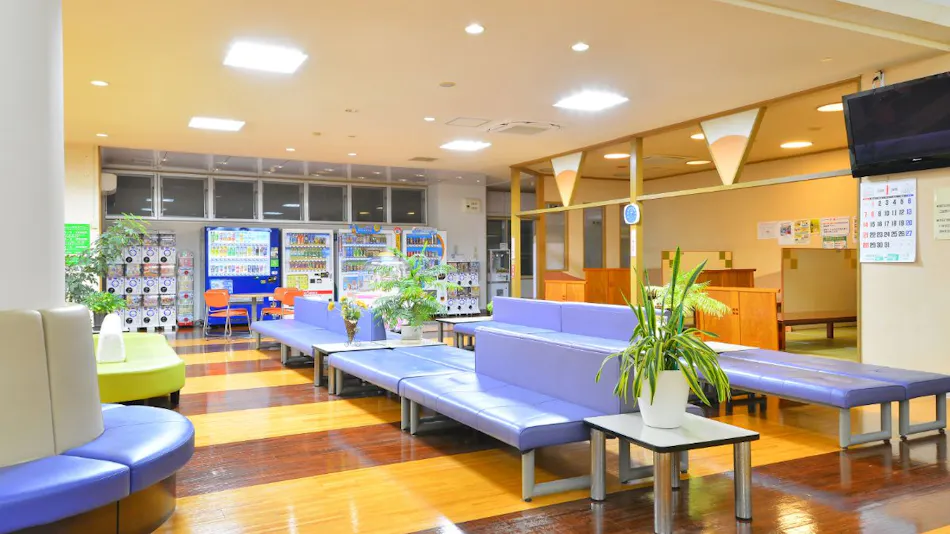 Higashimae Onsen Shinwa no Yu Hotel Akitaya