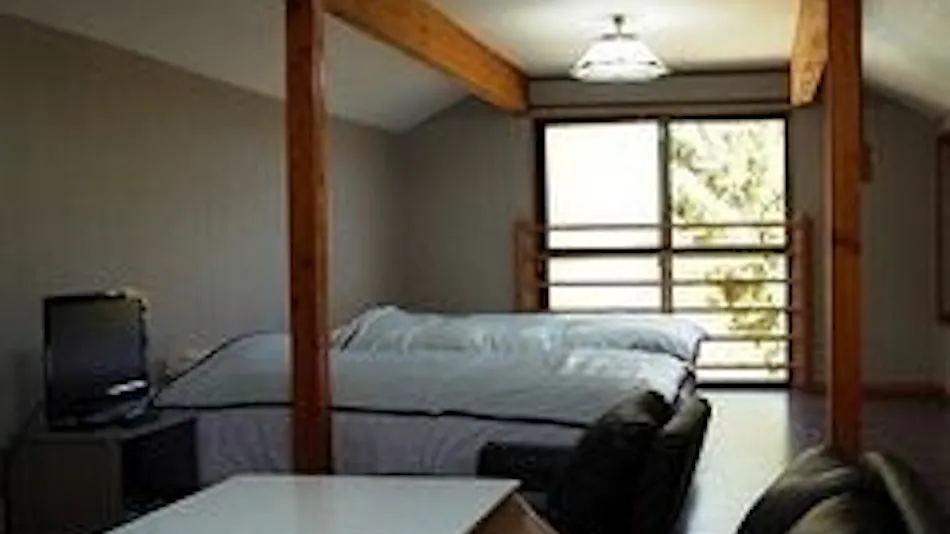 Pet-Friendly Vacation Rental Villa: Bettei Hakuba
