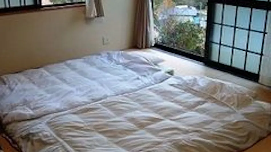 Pet-Friendly Vacation Rental Villa: Bettei Hakuba