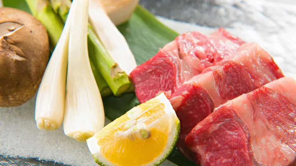 Nagoya's Hidden Gem: Ryokan Watanabe