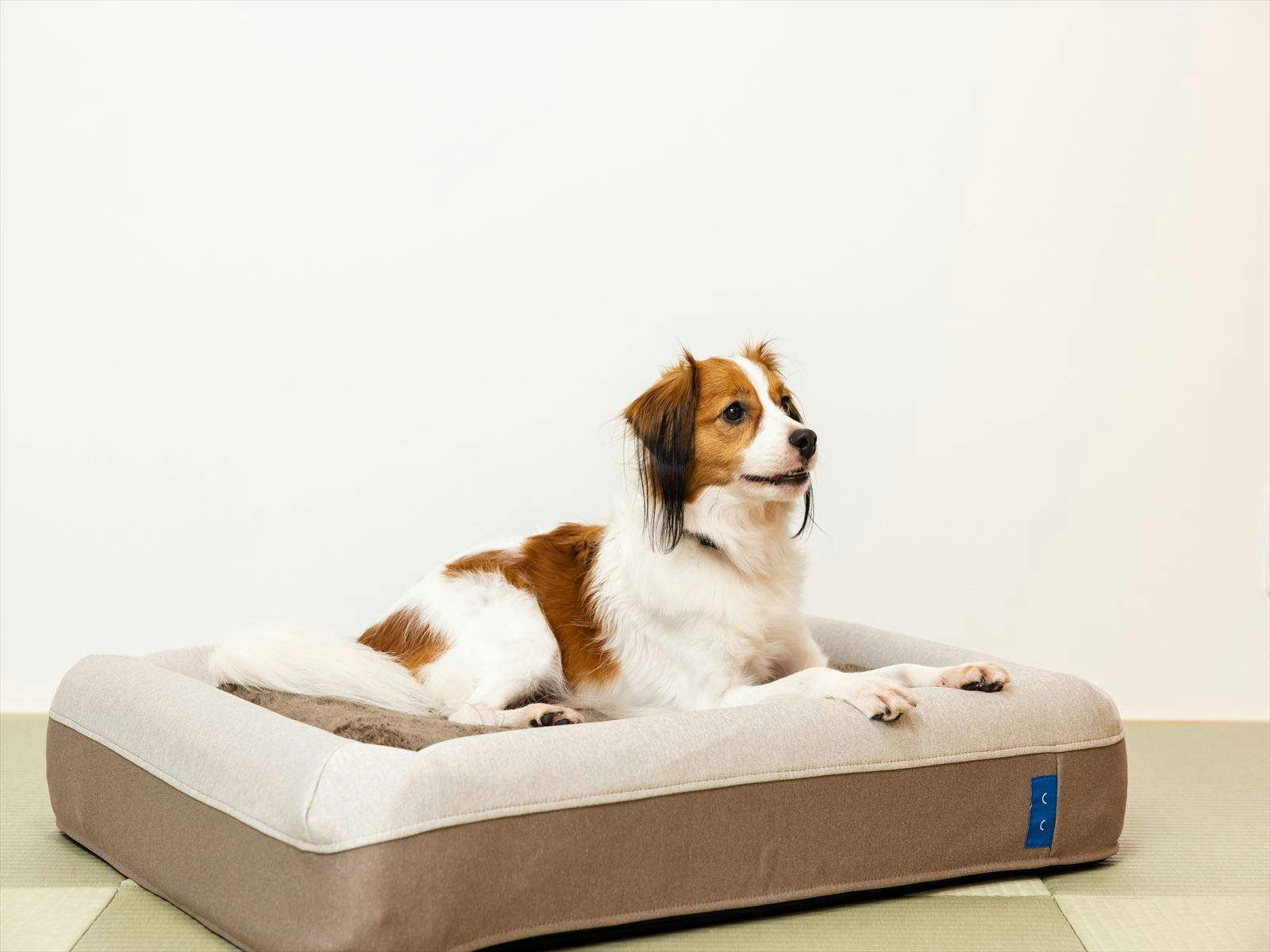 Shiki no Yado Koyomi