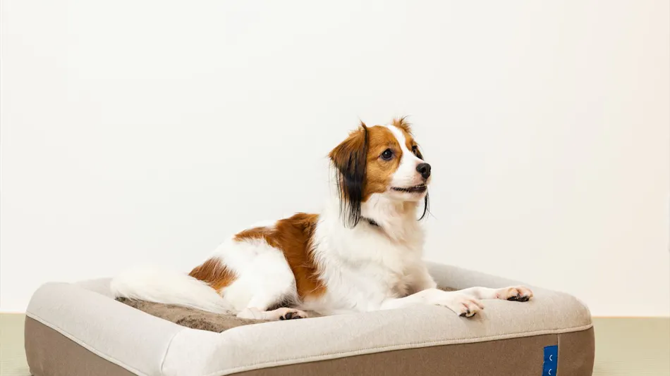 Shiki no Yado Koyomi