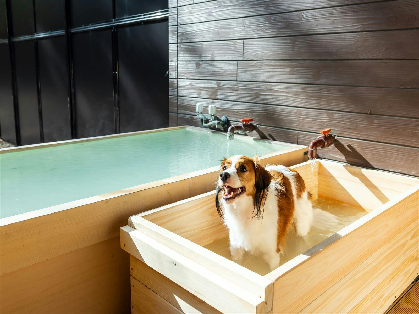 Shiki no Yado Koyomi