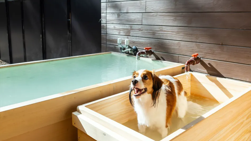 Shiki no Yado Koyomi