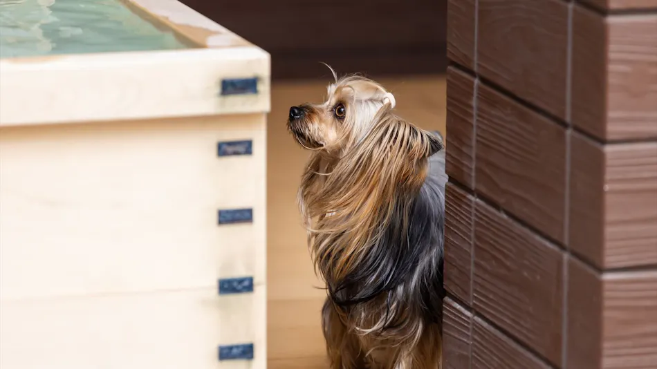 Shiki no Yado Koyomi