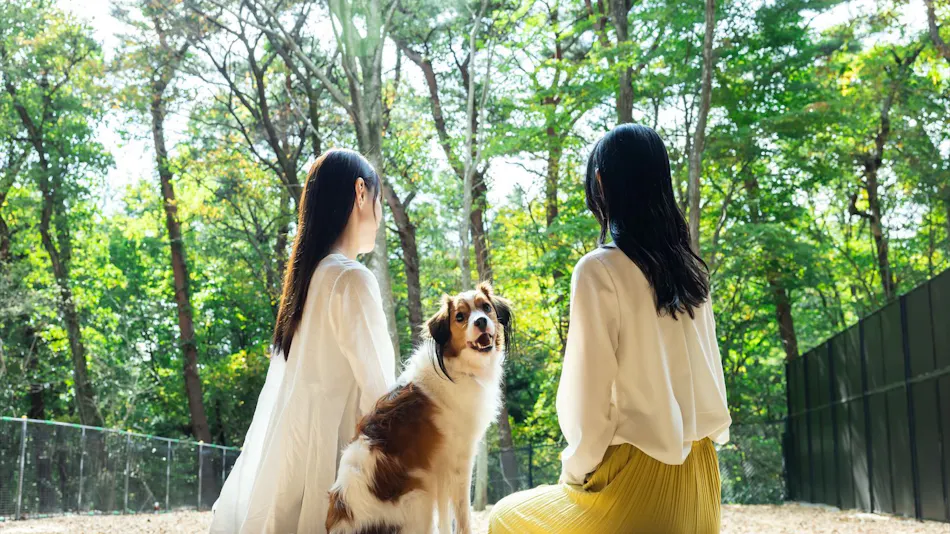 Shiki no Yado Koyomi