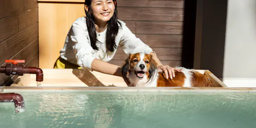 Shiki no Yado Koyomi