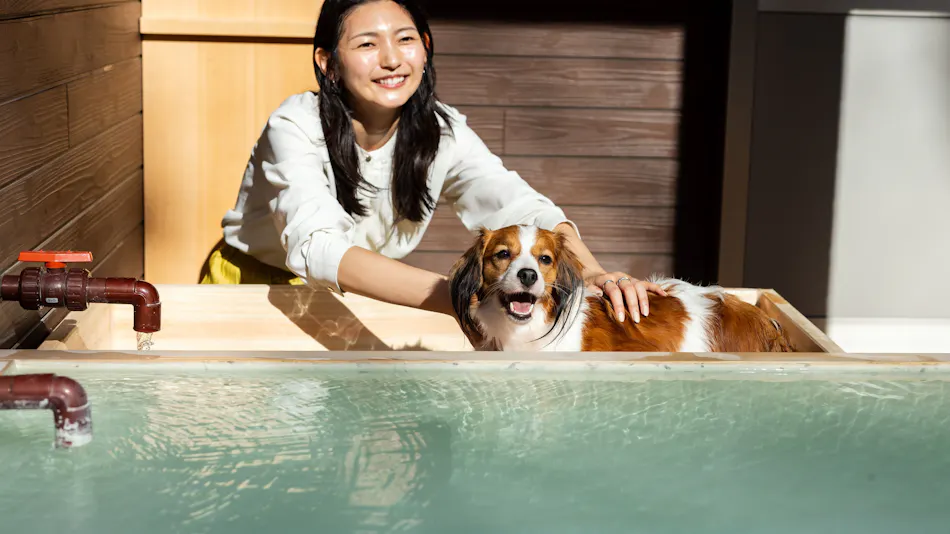 Shiki no Yado Koyomi