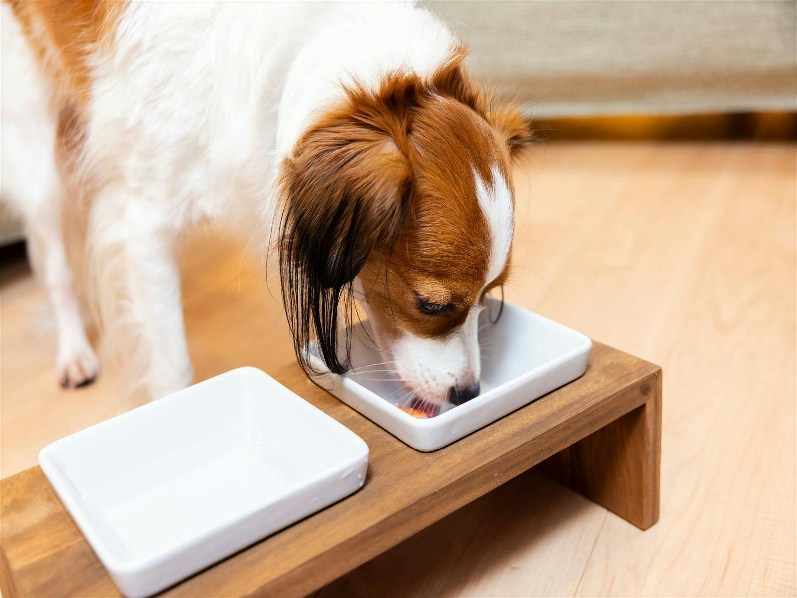 Shiki no Yado Koyomi