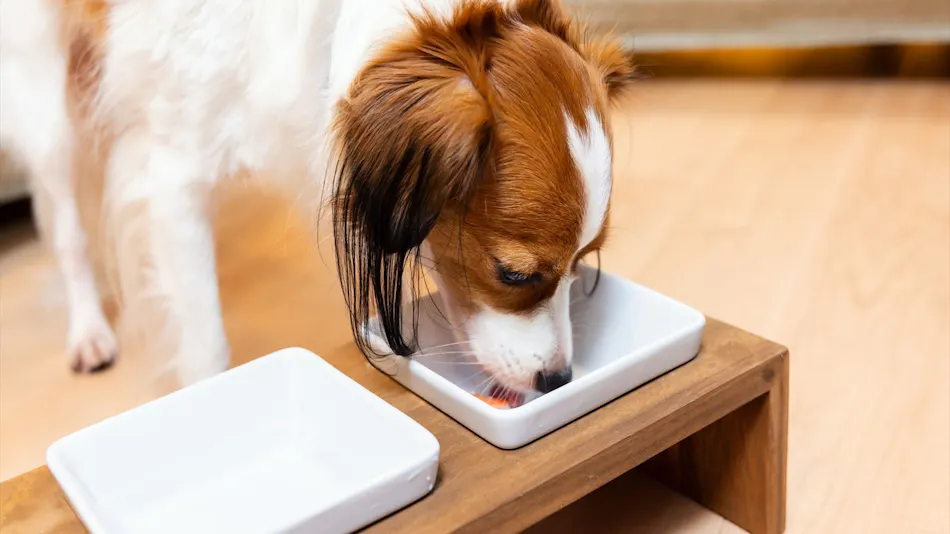 Shiki no Yado Koyomi