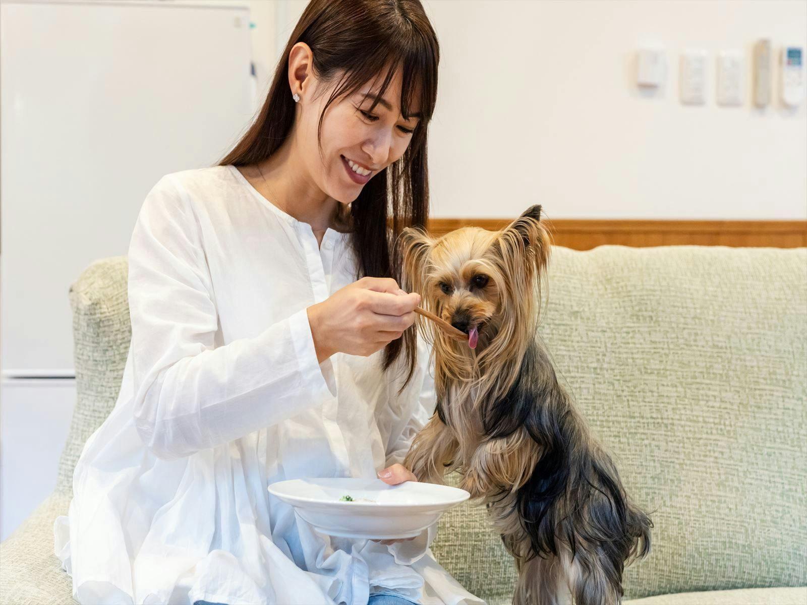 Shiki no Yado Koyomi