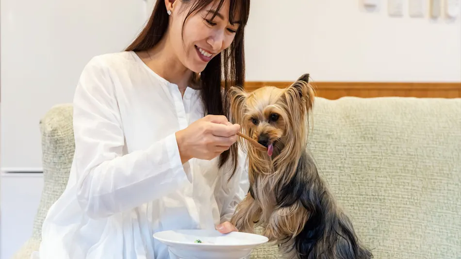 Shiki no Yado Koyomi