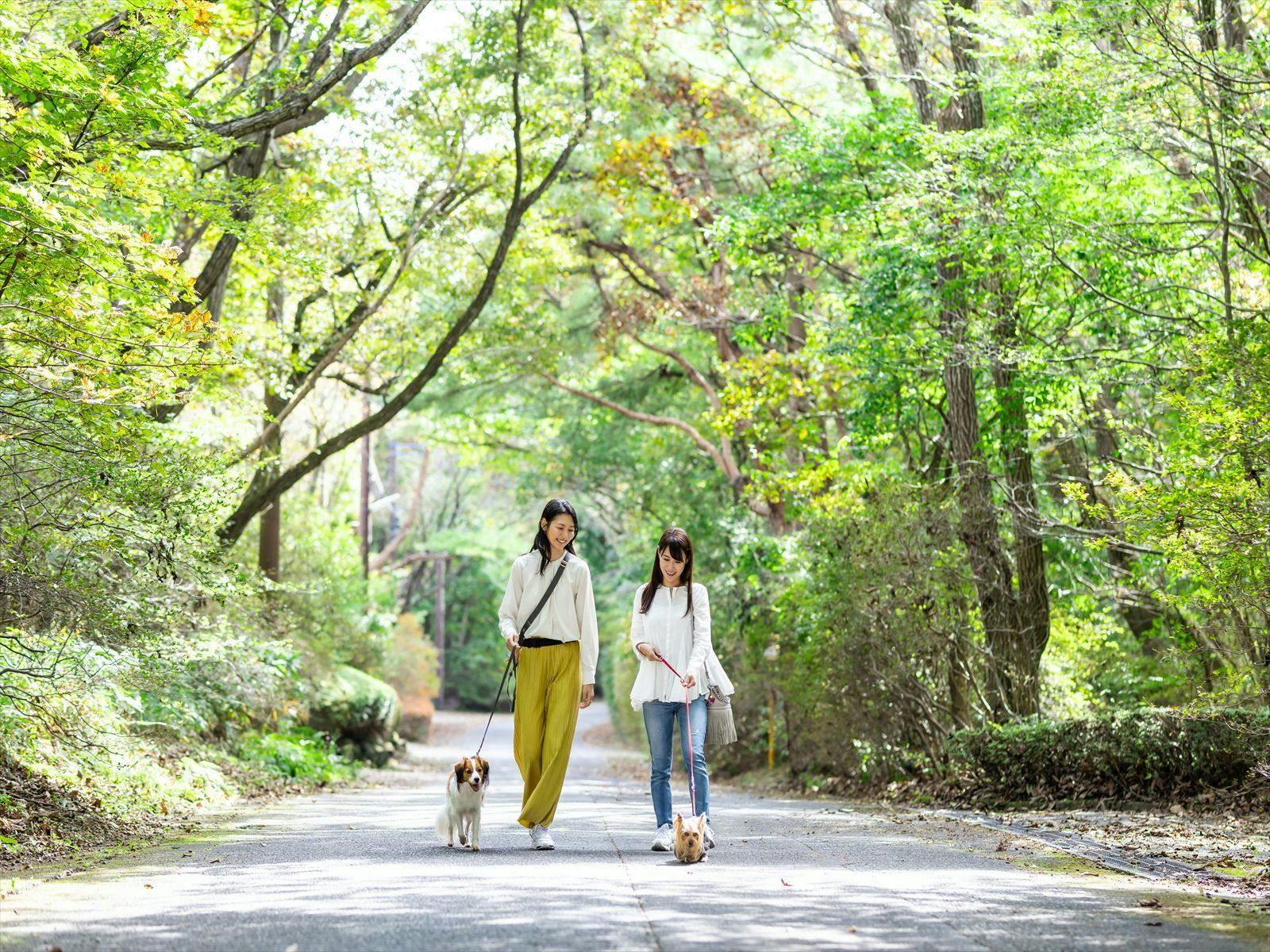 在寧靜的別墅區散步