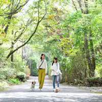 在寧靜的別墅區散步