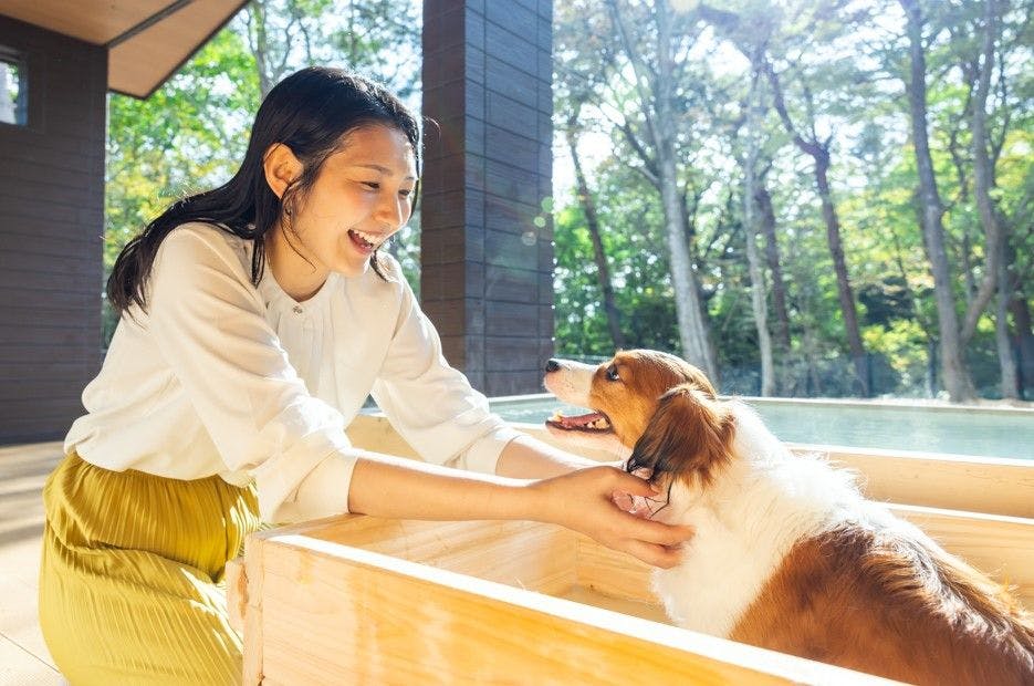 Shiki no Yado Koyomi