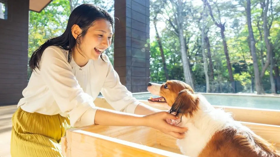 Shiki no Yado Koyomi