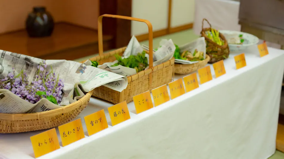 Kami-no-Miya Onsen Kawaratei