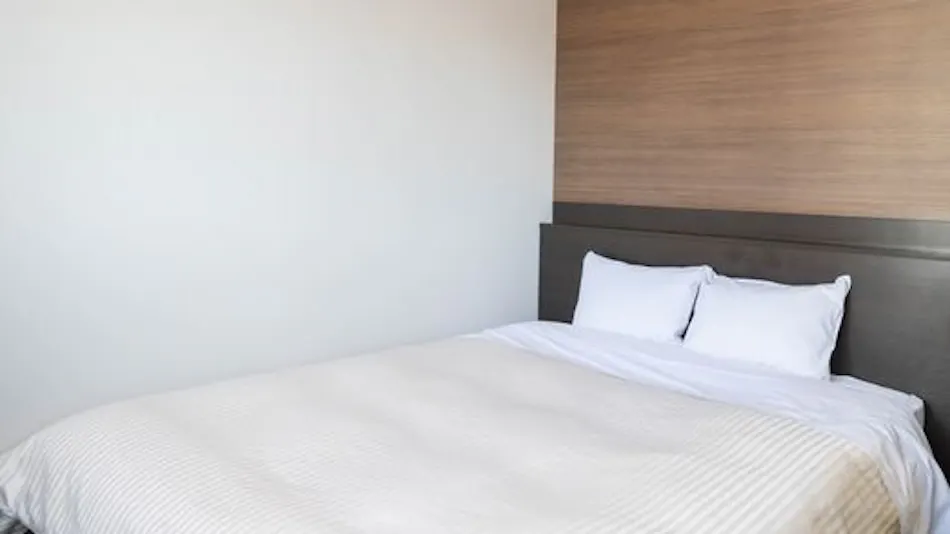 Hotel New Palace