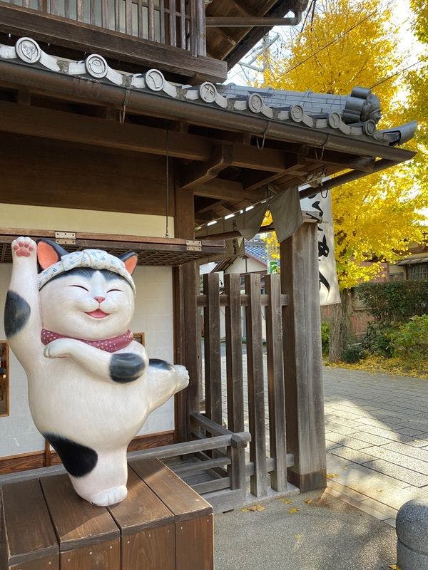 โอกะโยโกะโจ - แมว