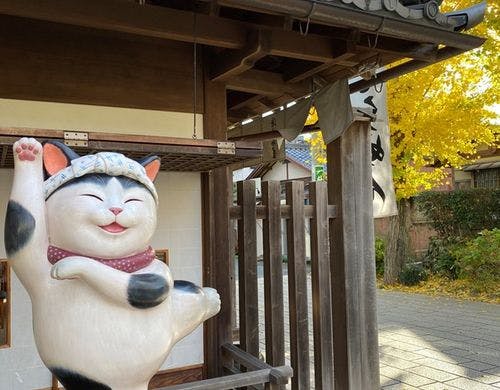 おかげ横丁　猫