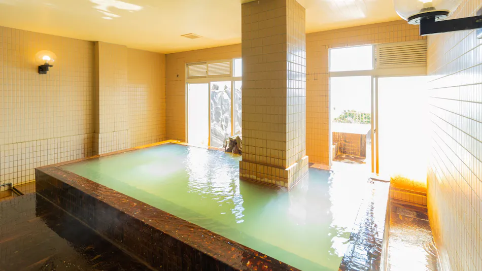 Sakurajima Seaside Hotel