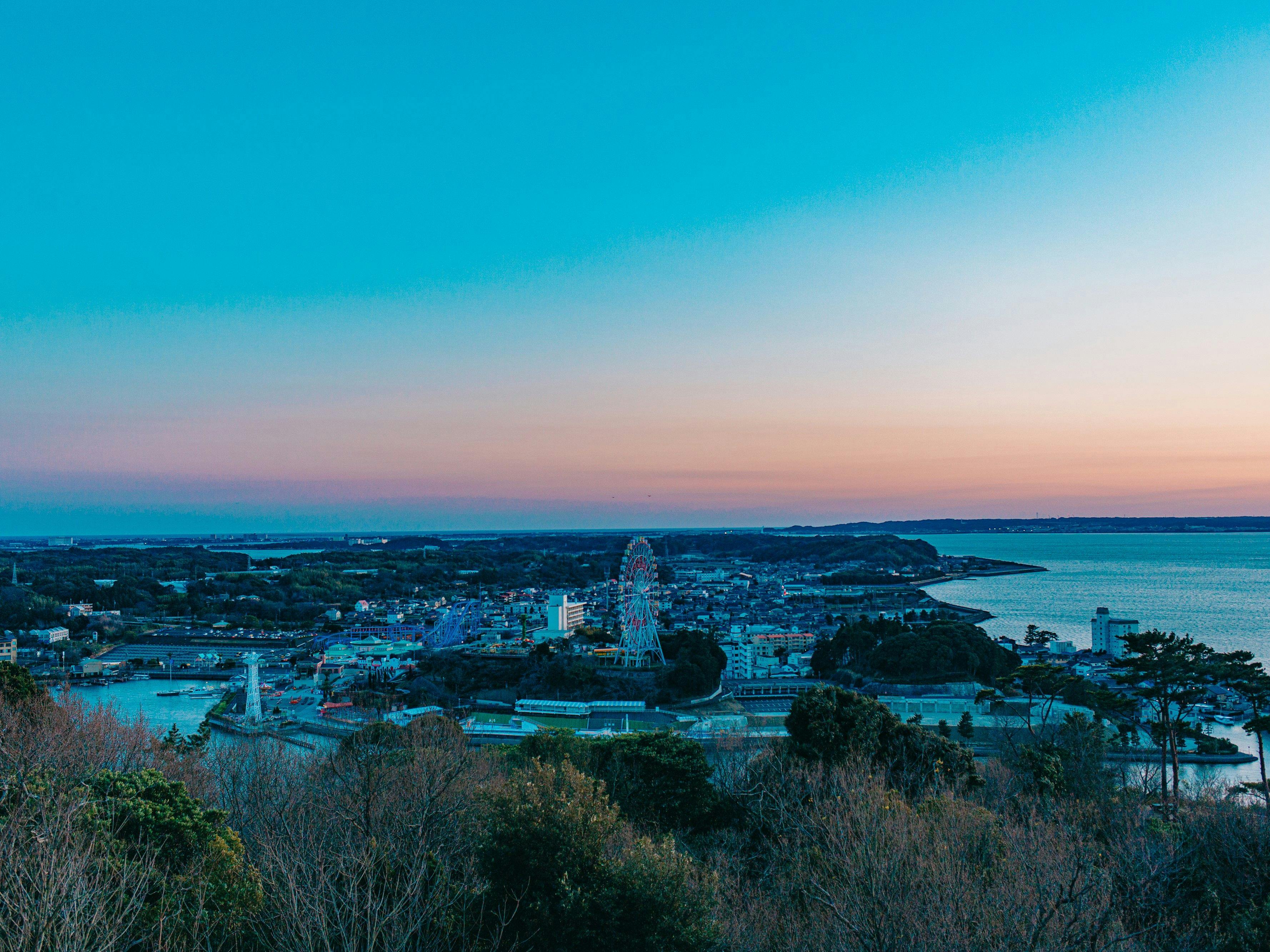 KAREN Hamanako with Dog