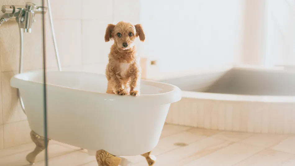 KAREN Hamanako with Dog