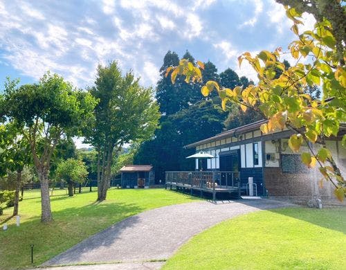 緑に囲まれた木のおうち