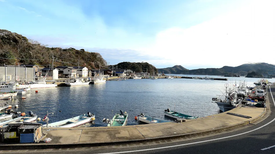 Minshuku Nishidomari (Tsushima)