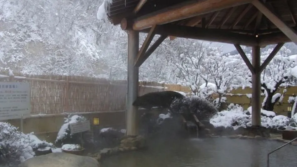 Susobana Gorge Natural Hot Spring Inn Uruoi-kan