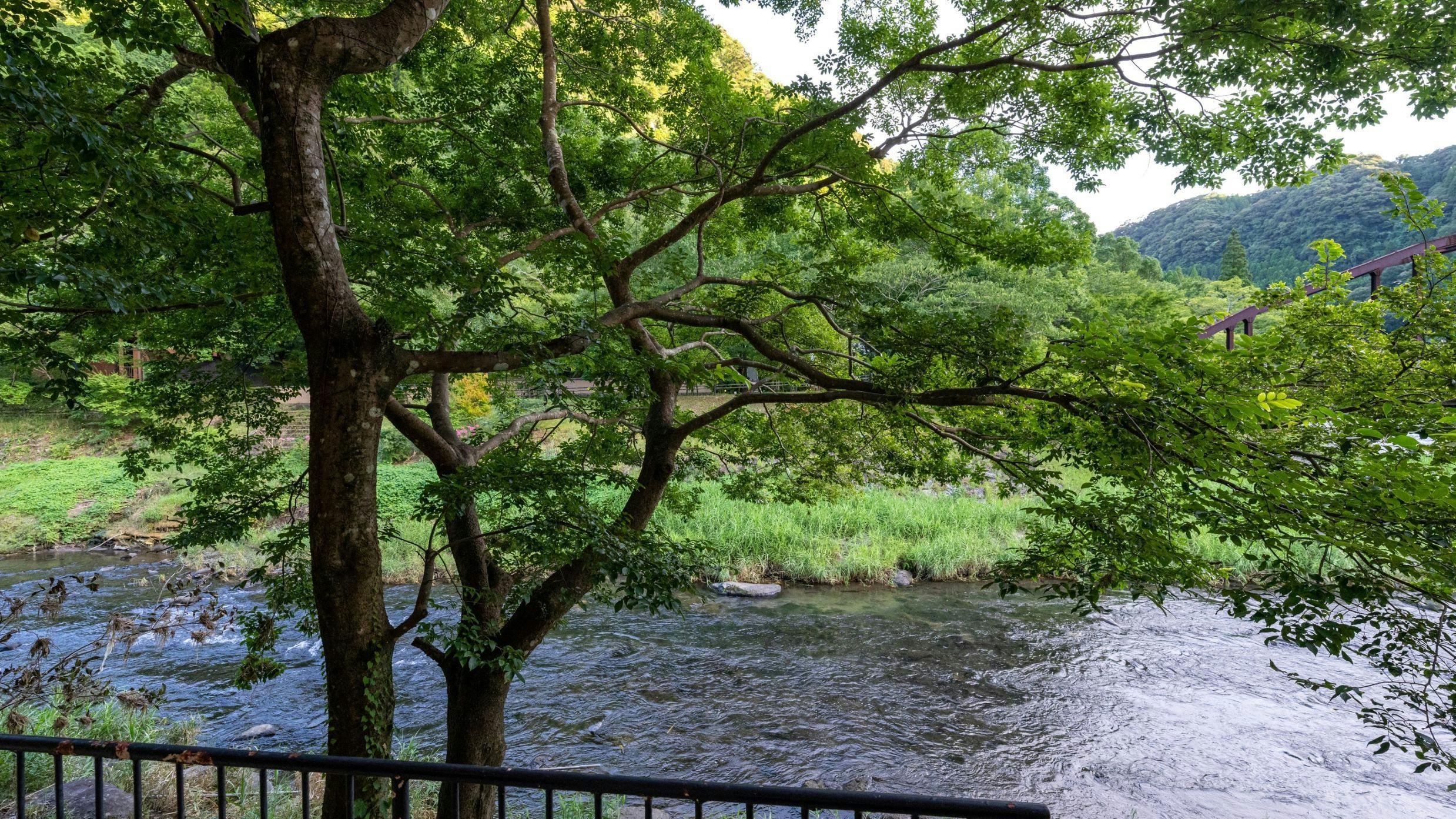 Kirishima Onsenkyo Myoken Onsen Myoken Tanaka-kan