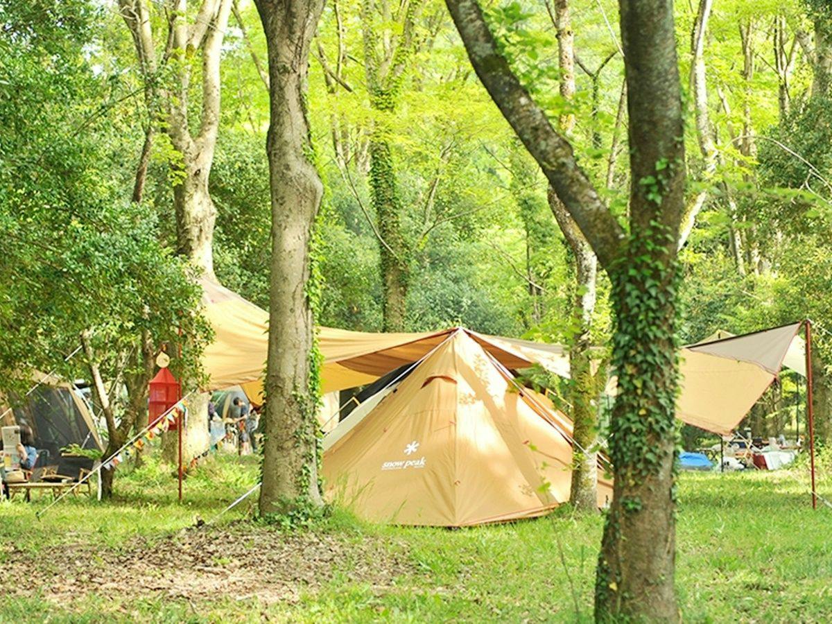 Green Park Santou