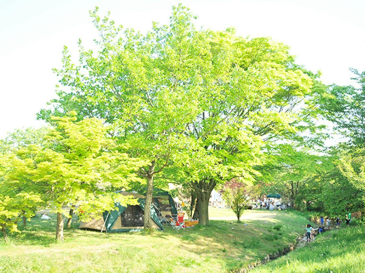 Green Park Santou