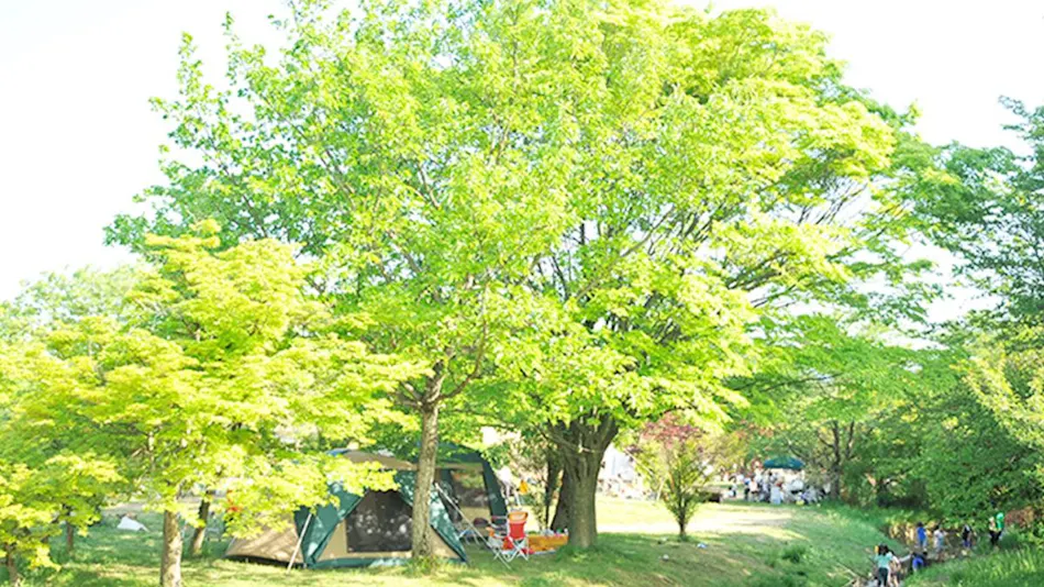 Green Park Santou