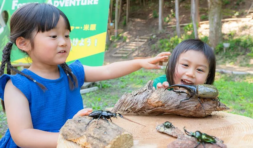 ประกาศ: Beetleland เปิดให้บริการแล้ว