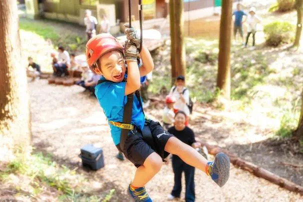 ประกาศ: ฟอเรสต์แอดเวนเจอร์