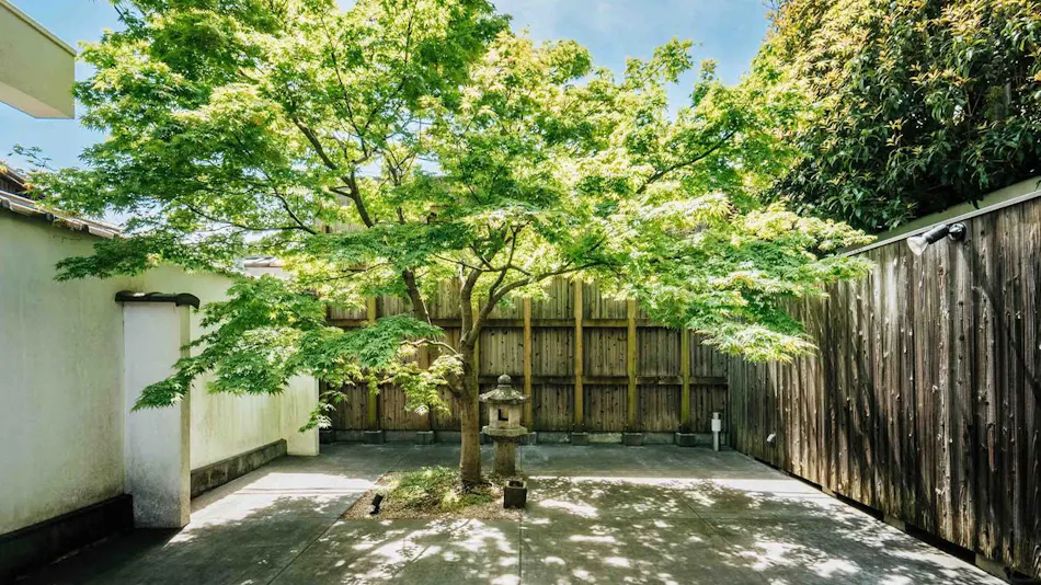 Nishijin Isa