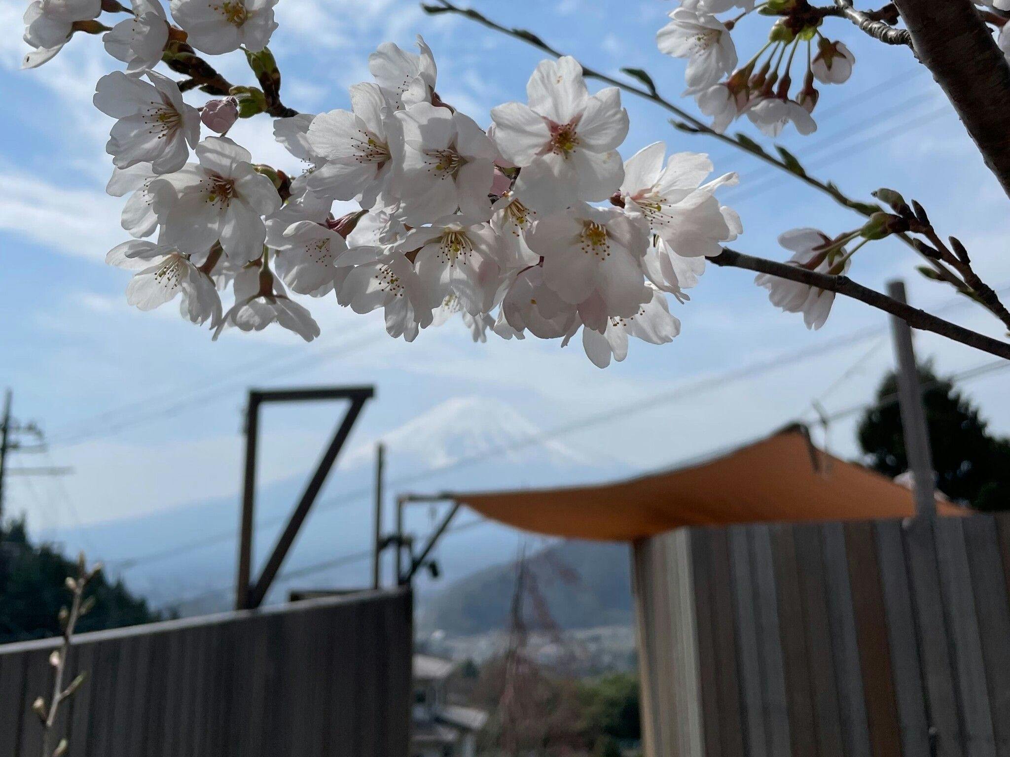 Dot Glamping Mt. Fuji