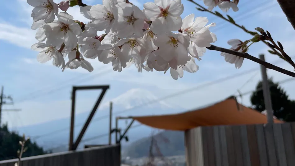 Dot Glamping Mt. Fuji