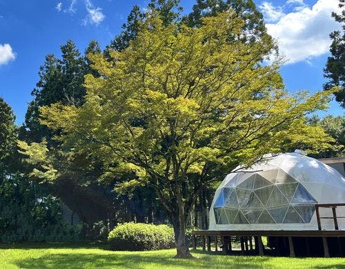 木のぬくもり香る重厚感のあるツインベッド